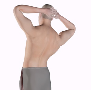 Back Pain Exercises